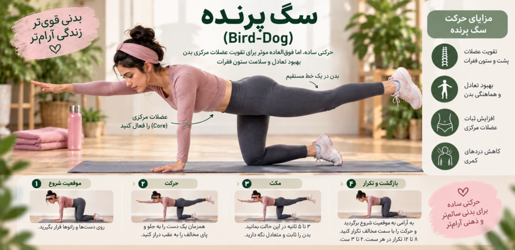 تمرین سگ پرنده 