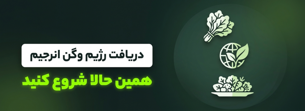 دریافت رژیم وگان تخصصی از اپلیکیشن انرجیم